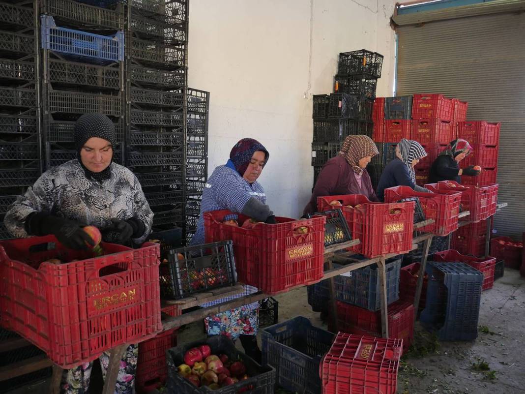 Neye niyet, neye kısmet: İlçenin ekonomisini ayağa kaldırdı! Yüksek gelir elde ediyorlar, kapış kapış satılıyor 27